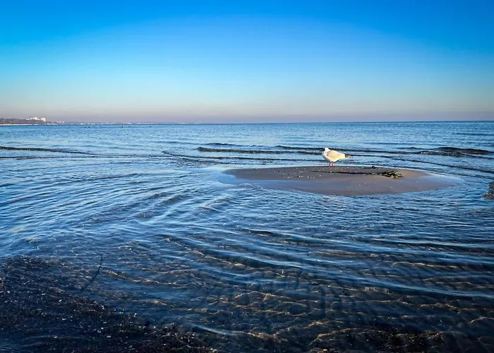 Luett Haffhus - شقة *